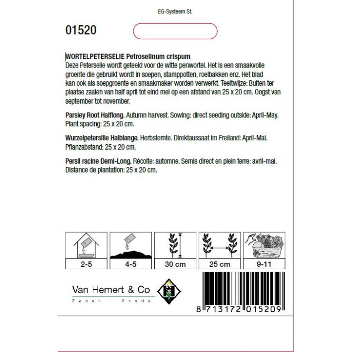 Wortelpeterselie Halflange