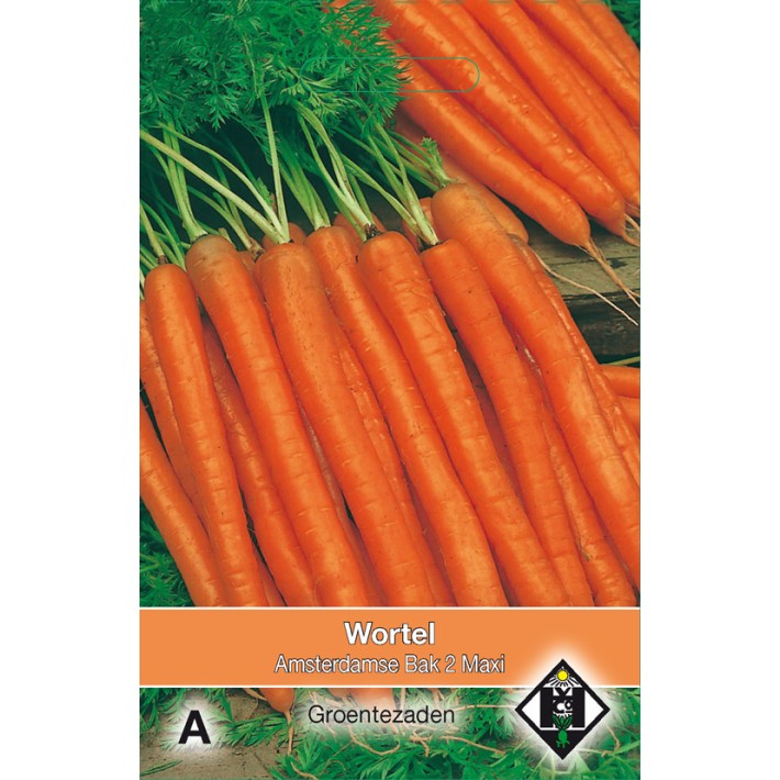 Wortel Amsterdamse Bak 2 Maxi