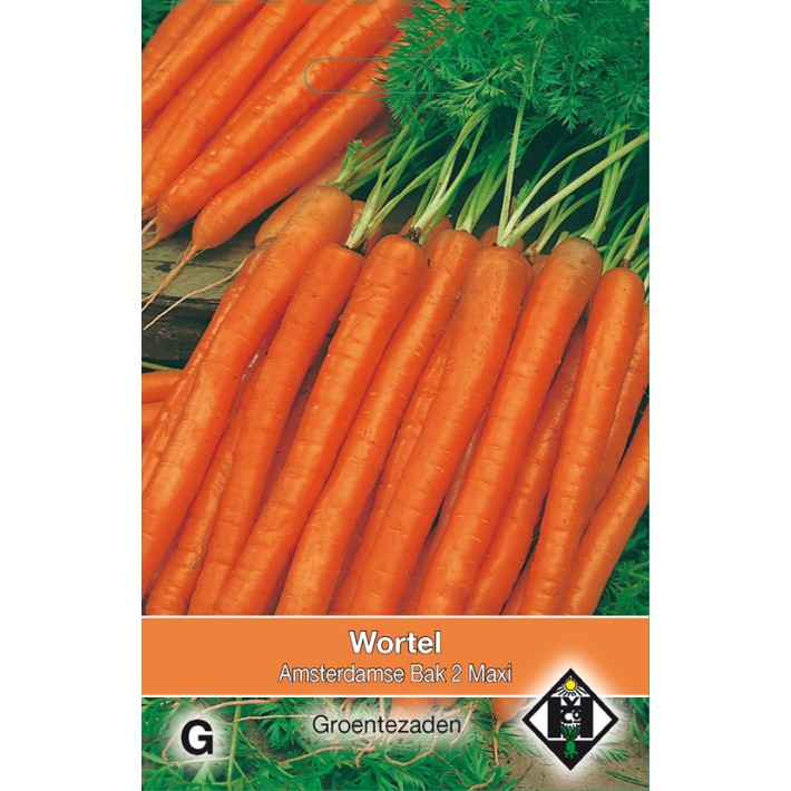 Wortel Amsterdamse Bak 2 Maxi, 10 gr.