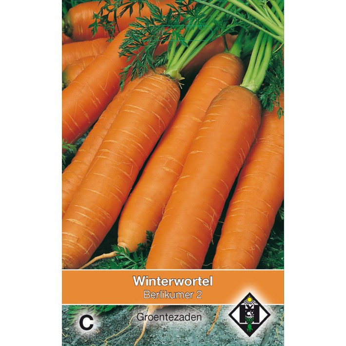 Wortel Berlikumer