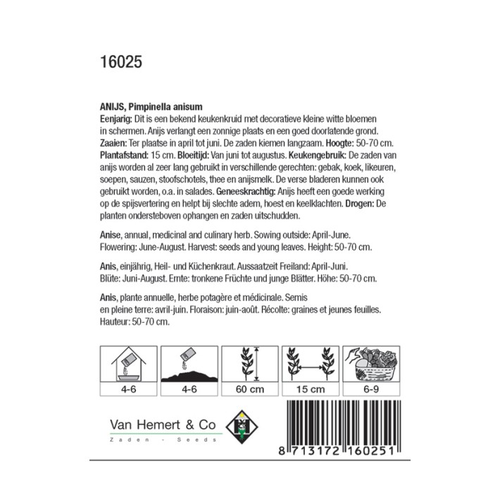Anijs / Pimpinella anisem