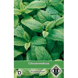 Citroenmelisse / Melissa