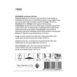 Lavas, Maggikruid / Levisticum