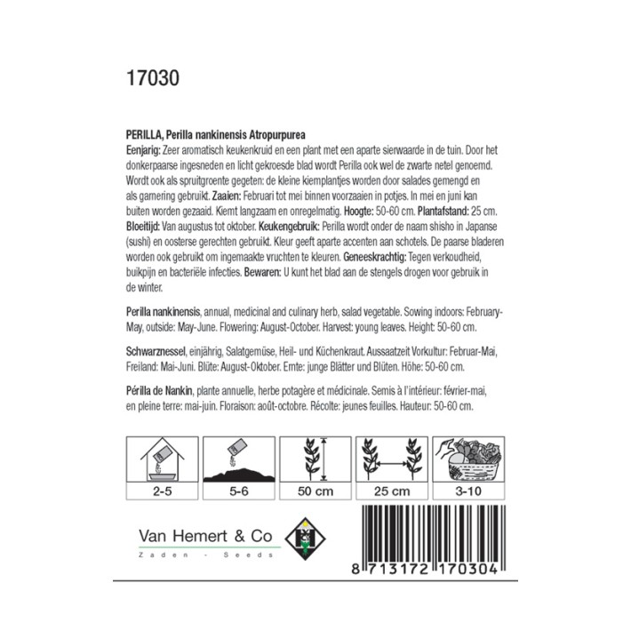 Perilla nankinensis Atropurpurea L.