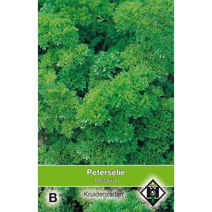 Peterselie Moskrul / Peterselinum