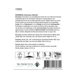 Rozemarijn / Rosmarinus