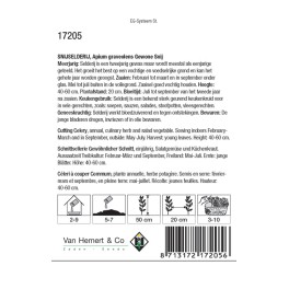 Selderij / Apium Gewone Snij