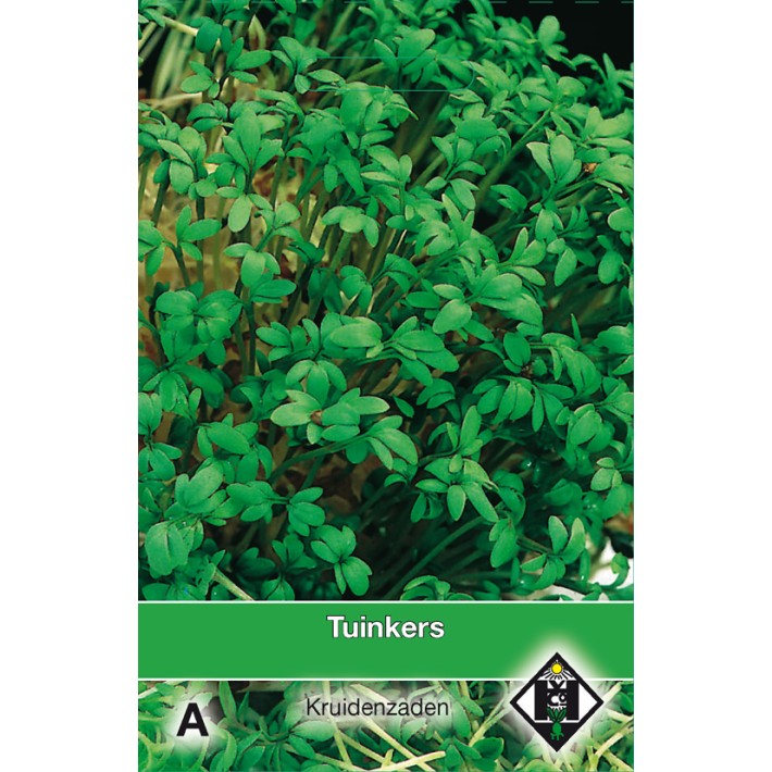 Tuinkers / Lepidium