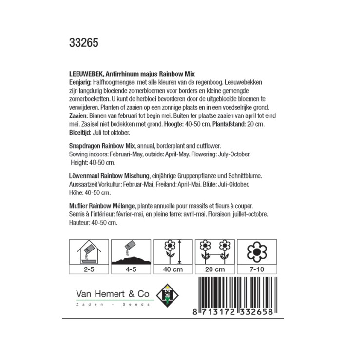 Antirrhinum majus Rainbow Mix