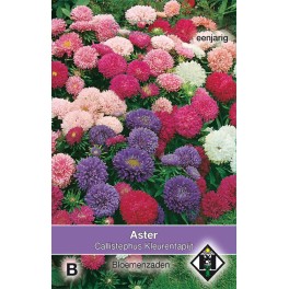 Aster chinensis Kleurentapijt