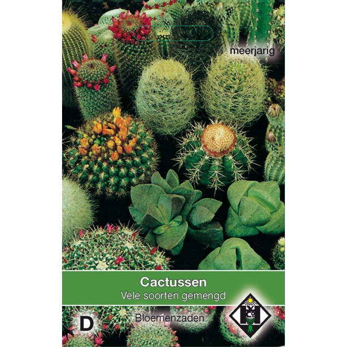 Cactusmengsel