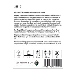 Calendula officinalis Calexis Orange