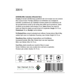 Calendula officinalis Nova