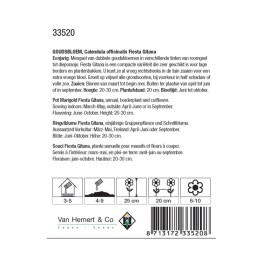 Calendula officinalis Fiesta Gitana