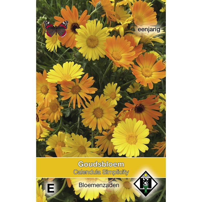 Calendula officinalis Simplicity