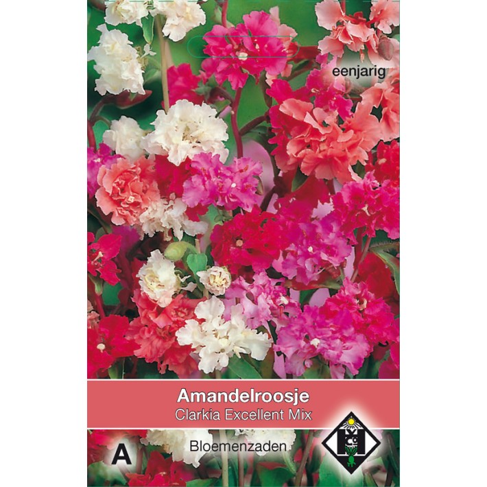 Clarkia unguiculata Excellent Mix