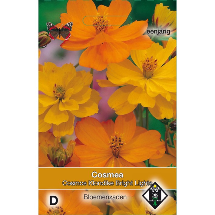 Cosmos sul. Klondike Bright Lights