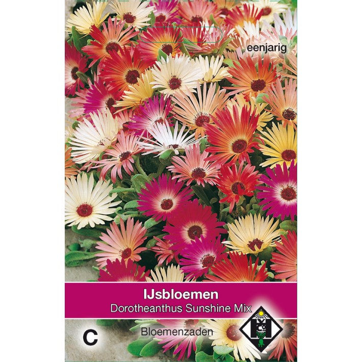 Dorotheanthus b. Sunshine Mix
