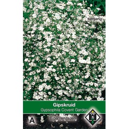 Gypsophila elegans Convent Garden