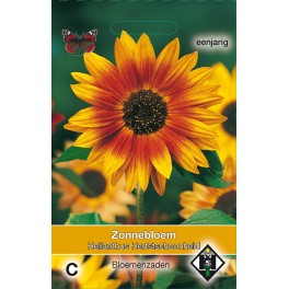 Helianthus a. Herfstschoonheid
