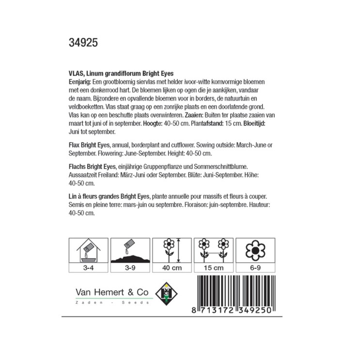 Linum grandiflorum Bright Eyes