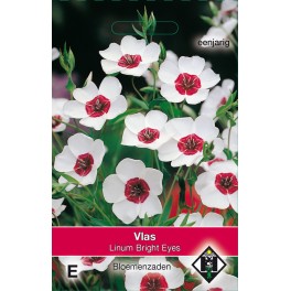 Linum grandiflorum Bright Eyes