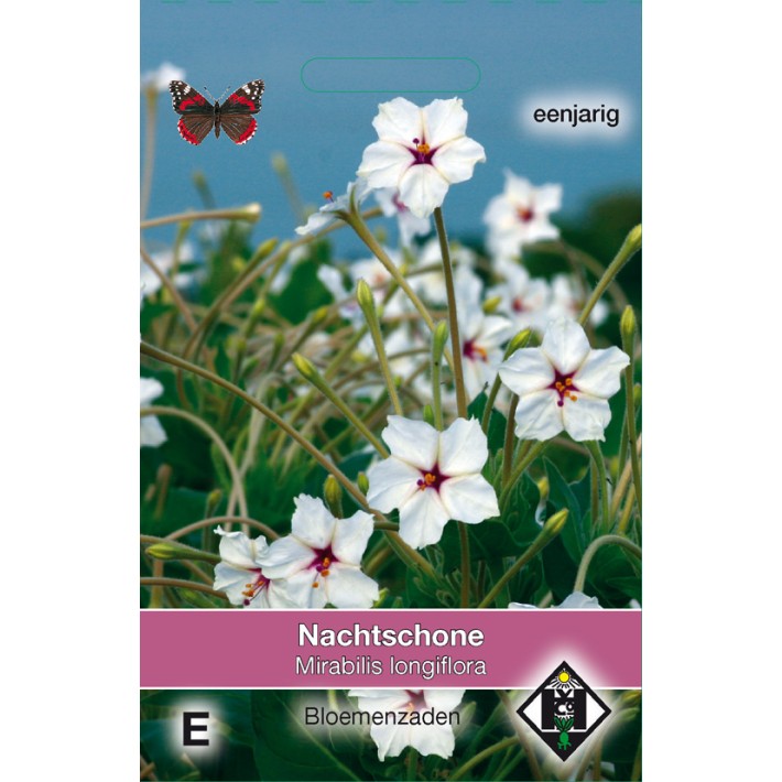 Mirabilis longiflora