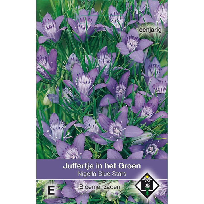 Nigella garidella Blue Stars