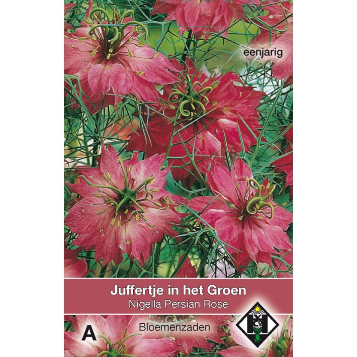 Nigella damascena Persian Rose