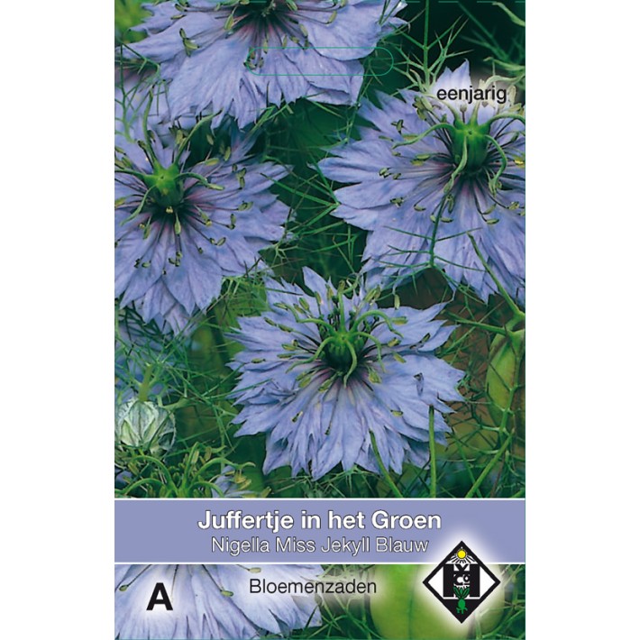 Nigella damas. Miss Jekyll Blauw