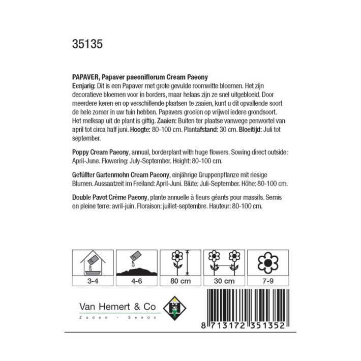 Papaver paeoniflorum Cream Paeony