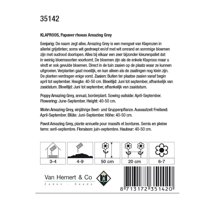 Papaver rhoeas Amazing Grey