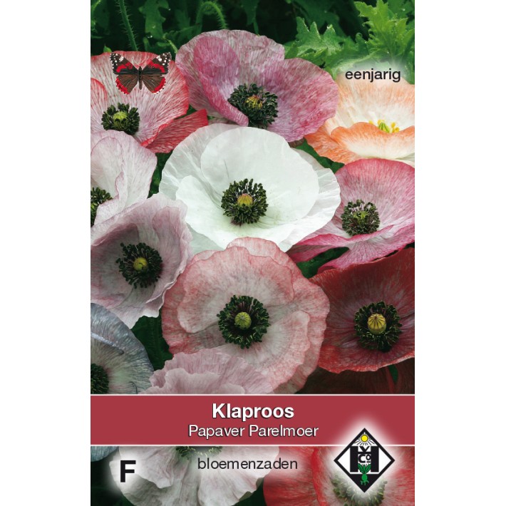 Papaver rhoeas Parelmoer