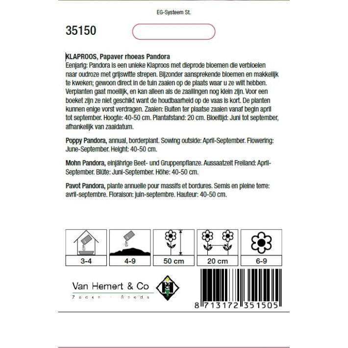 Papaver rhoeas Pandora
