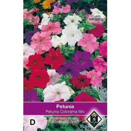 Petunia nana compacta Colorama Mix