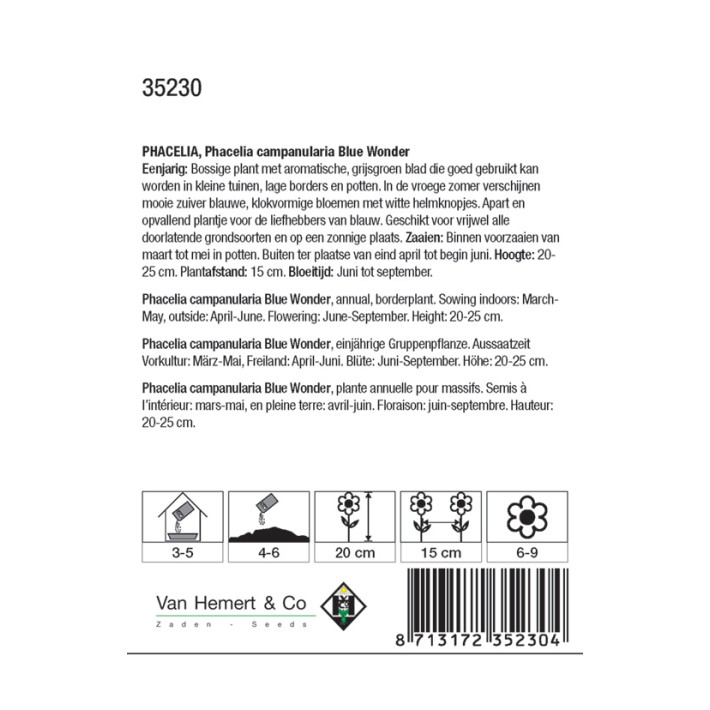 Phacelia campanularia Blue Wonder