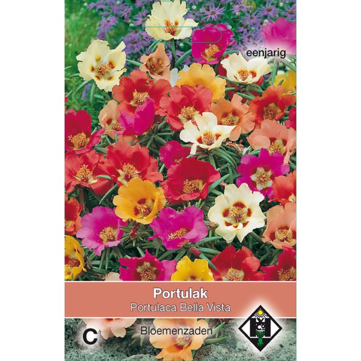 Portulaca grandiflora Bella Vista Mix