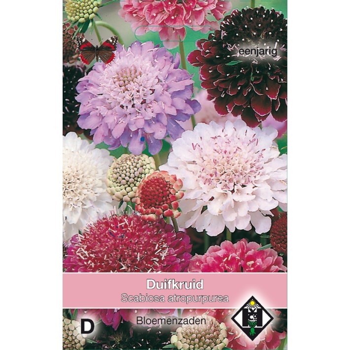Scabiosa atropurpurea Mix