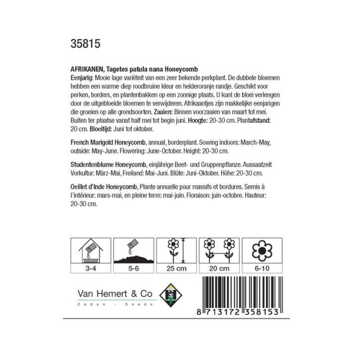 Tagetes patula nana Honeycomb
