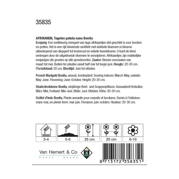 Tagetes patula nana Bonita
