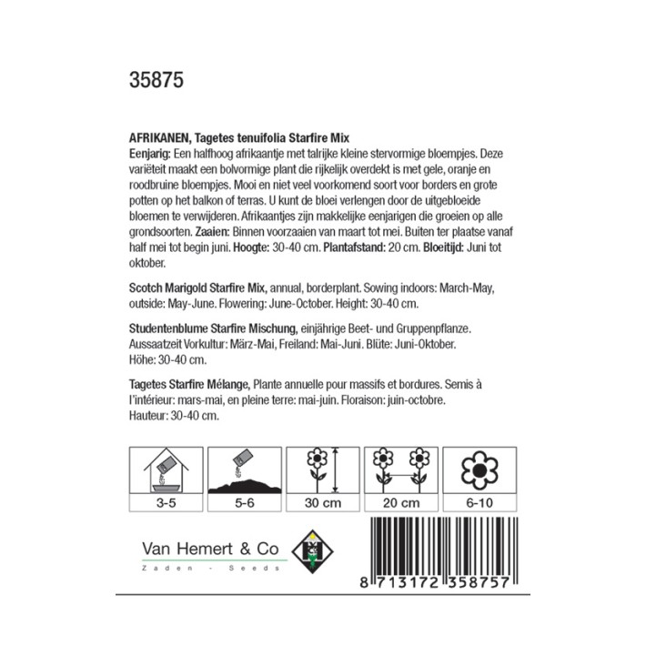 Tagetes tenuifolia Starfire Mix