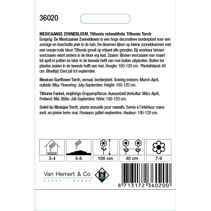 Tithonia rotundifolia Torch