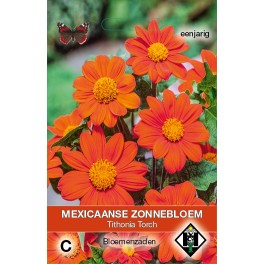 Tithonia rotundifolia Torch