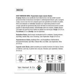 Tropaeolum m. n. Alaska