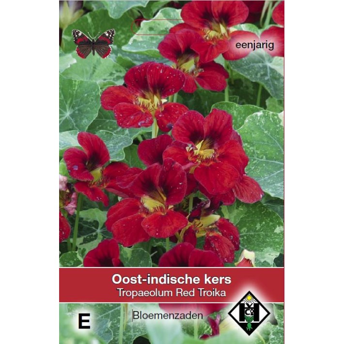 Tropaeolum m. Red Troika
