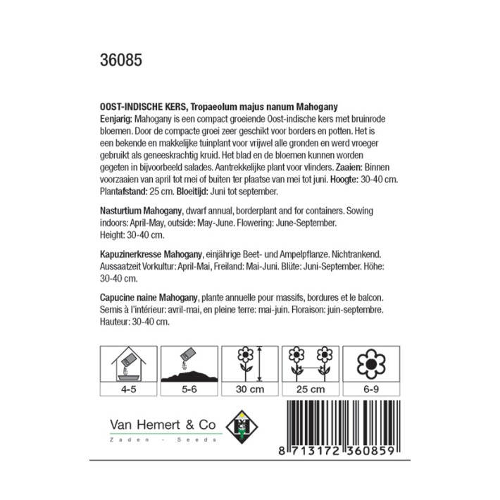 Tropaeolum m. n. Mahogany
