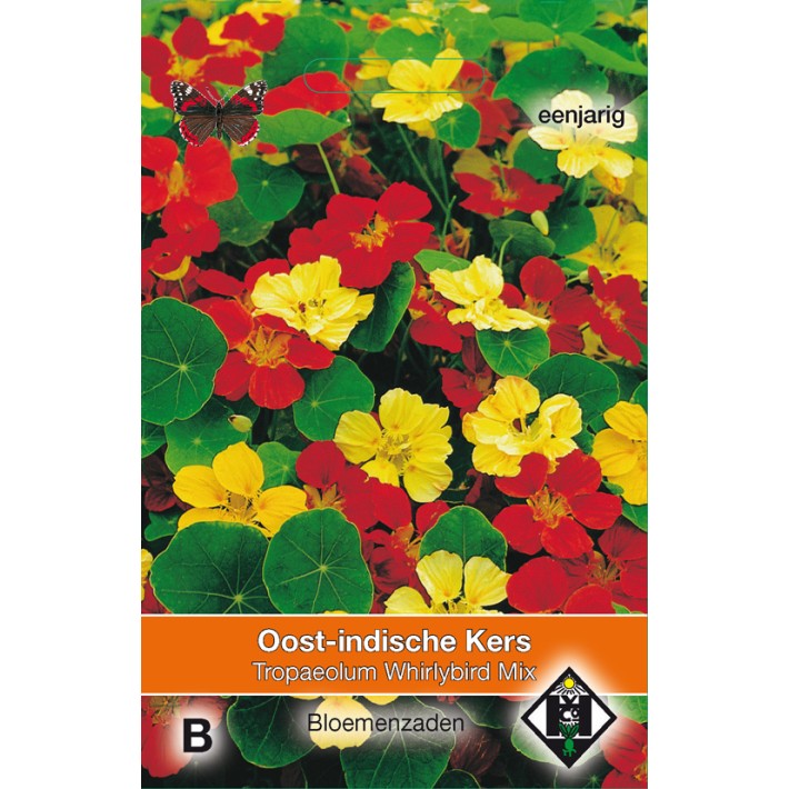 Tropaeolum m. n. Whirlybird Mix