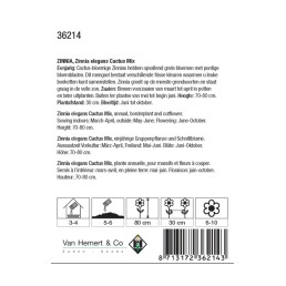 Zinnia elegans Cactus Mix