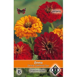 Zinnia elegans California Sun