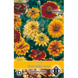 Zinnia angustifolia Persian Carpet
